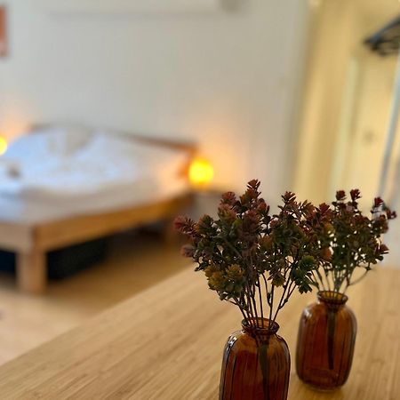 Gemuetliche Wohnung Naehe Uni Bazylea Zewnętrze zdjęcie